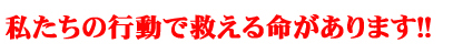 私たちの行動で救える命があります！！