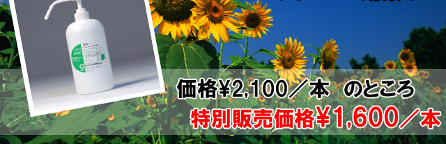 �A�~�X�e�B�[�q����(�P���b�g���|���v�^�C�v)���ʉ��i