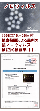 �R�m���E�B���X���؎�������
