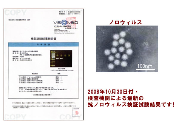ノロウィルス報告書