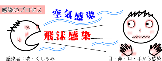 �C���t���G���U�E�B���X�����̃v���Z�X