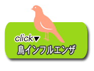鳥インフルエンザ