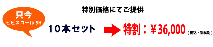 限定特割り価格にてヒビスコールご提供