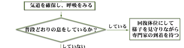 一次救命処置の手順