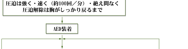 一次救命処置の手順