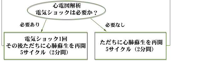 一次救命処置の手順