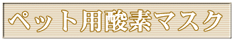 �y�b�g�p�_�f�}�X�N