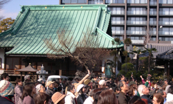 聖徳太子節分会 豆まき