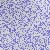 22.jpg (8627 �o�C�g)